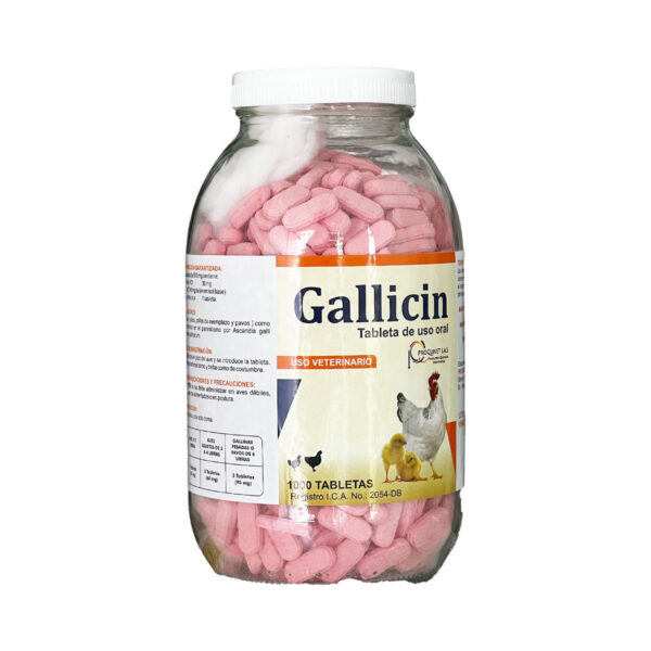 GALLICIN 1000 TAB