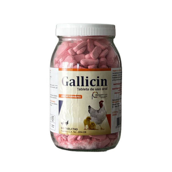 GALLICIN 500 TAB