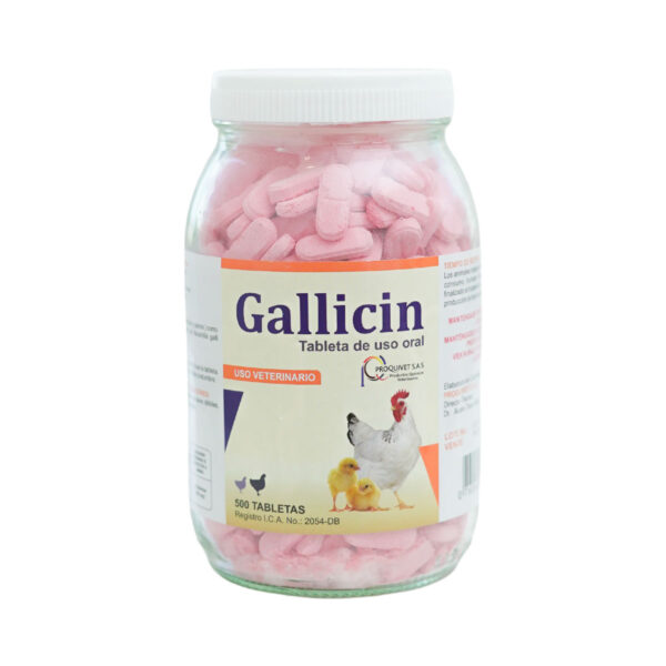 GALLICIN 500 TAB